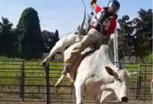 Mesmo pisoteado por Touro, Peão de Rodeio Patrocinense fica em