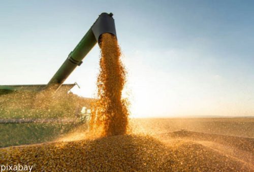 Agro_editorial_21