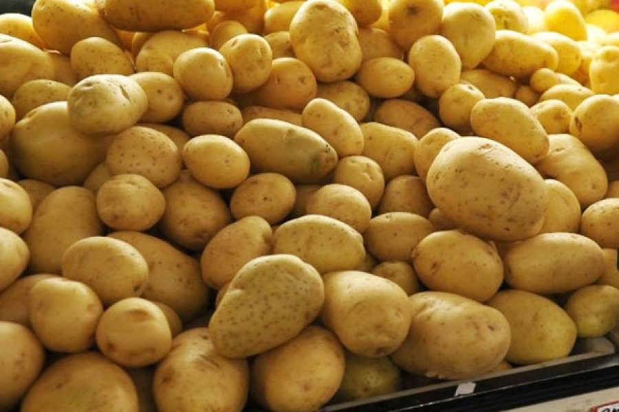 Batata-Sindijori