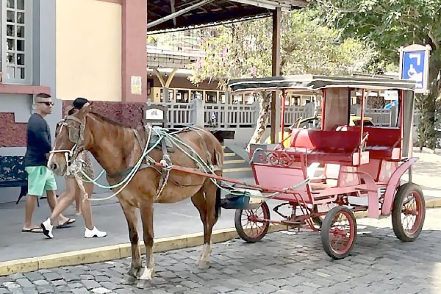 Charretes-Sao