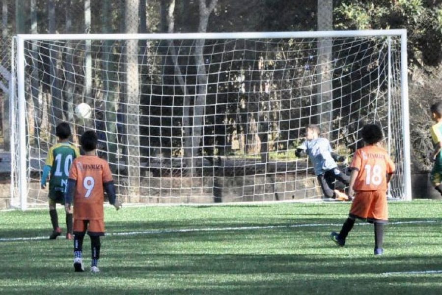 Copa_7