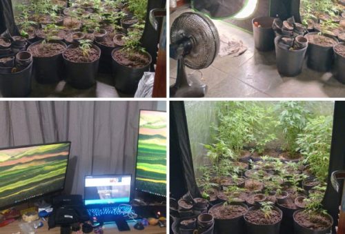 fotos Polícia Civil