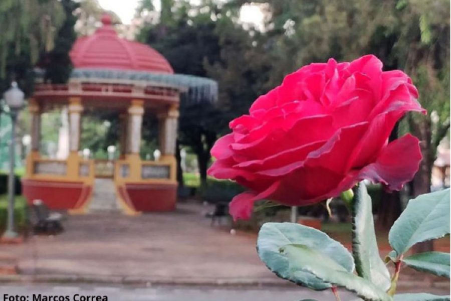 Dimensões personalizadas 600x407 px