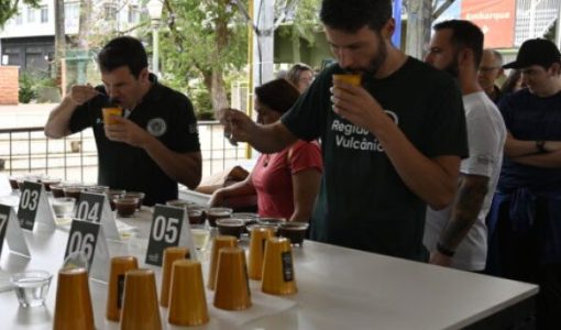 foto-festa-cafe-15-10-2026