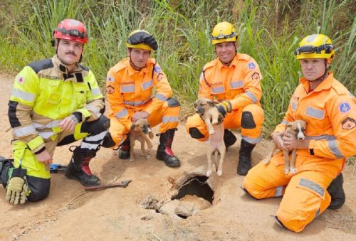 foto-bombeiros-05-01-2026