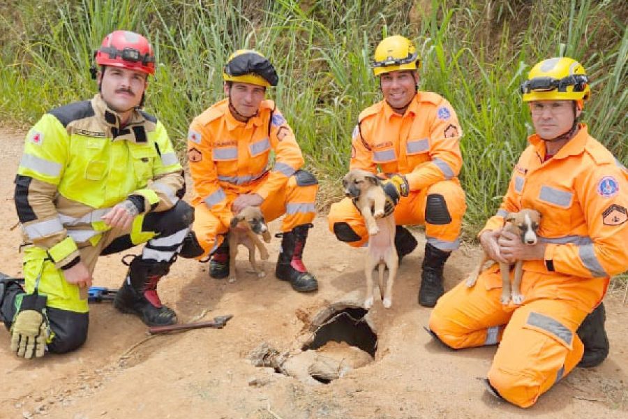 foto-bombeiros-05-01-2026