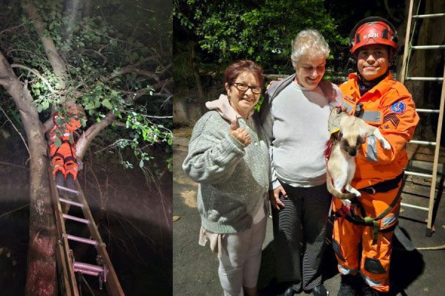 foto-bombeiros-resgate-04-06-2026