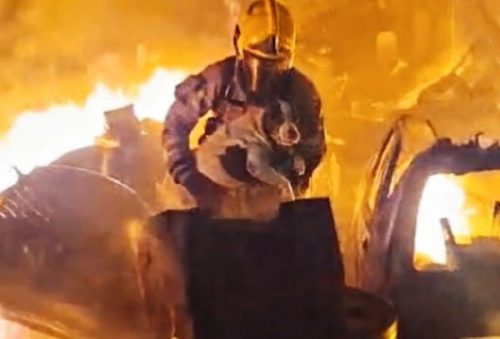 foto-bombeiros-resgata-cadela-18-02-2026