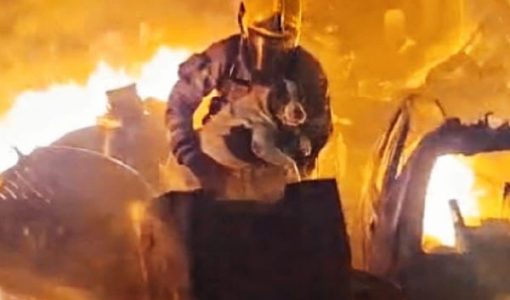 foto-bombeiros-resgata-cadela-18-02-2026