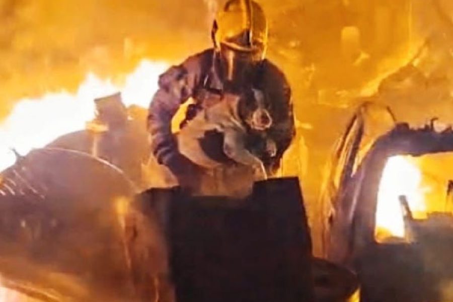 foto-bombeiros-resgata-cadela-18-02-2026