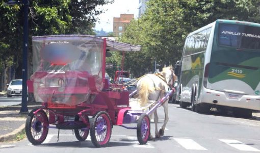 foto-charretes-decreto-13-03-2026