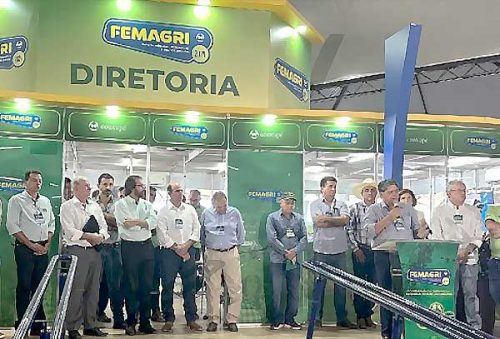 Femagri-MG