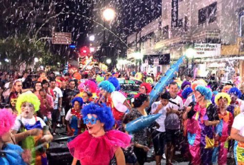 Folia_25