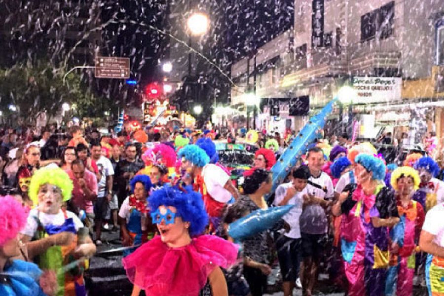 Folia_25