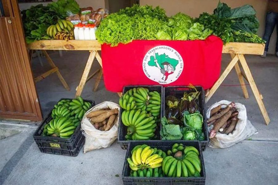 Organicos-JF