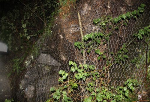 Pedra-camara