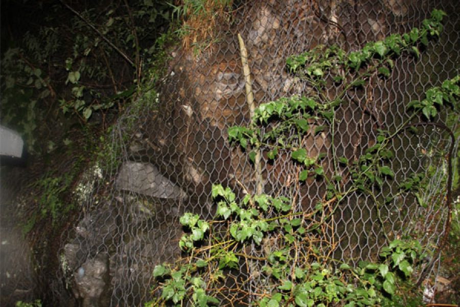 Pedra-camara