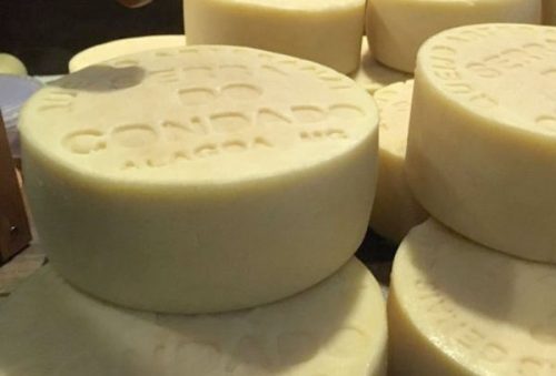 Queijo-Alagoas