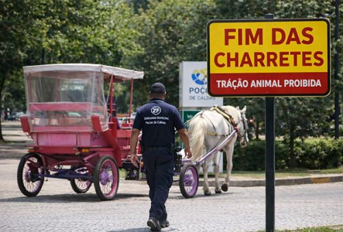 foto-editorial-charretes-14-03-2026