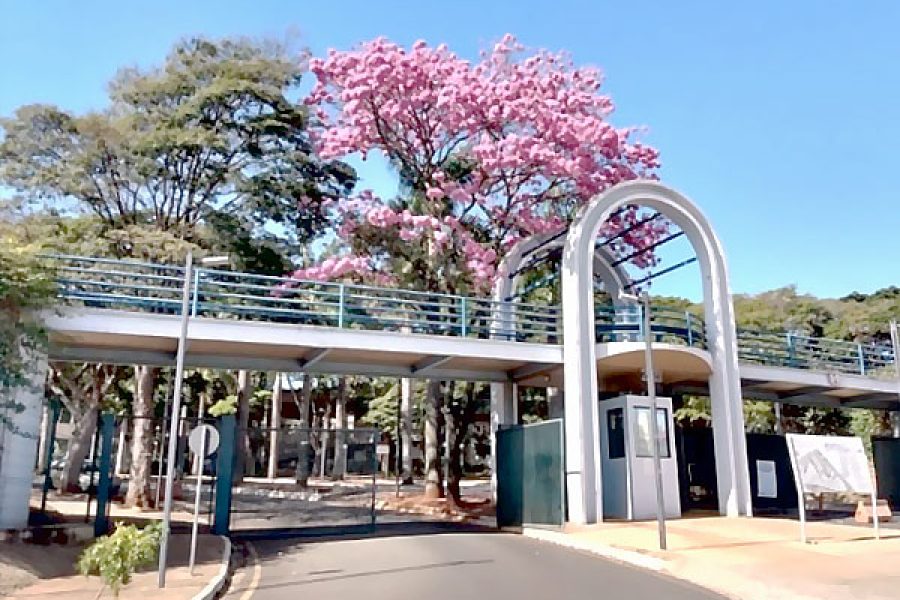 UFU-SINDIJORI