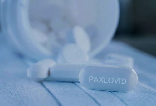 Untitled-1paxcovid