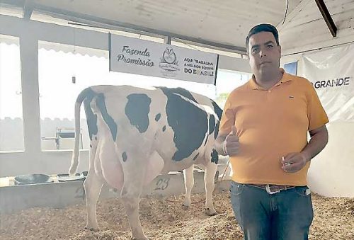 Vaca-Leite