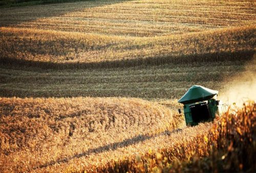 agri_17