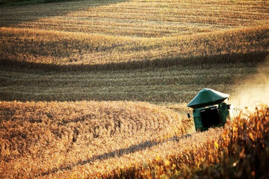 agri_17