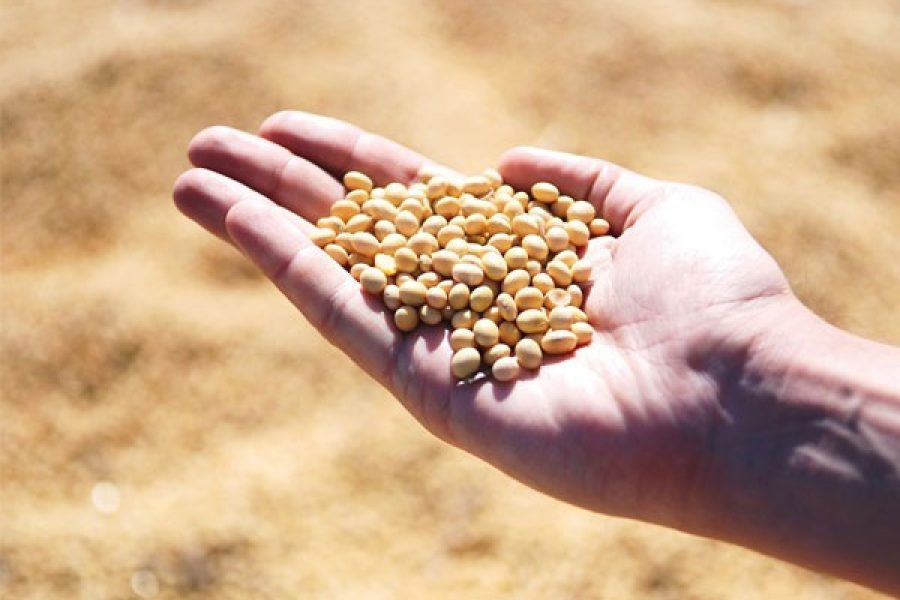 agro_editorial_20