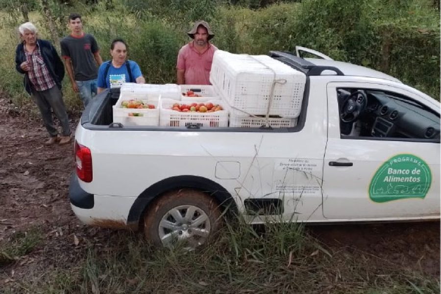 alimentos_4