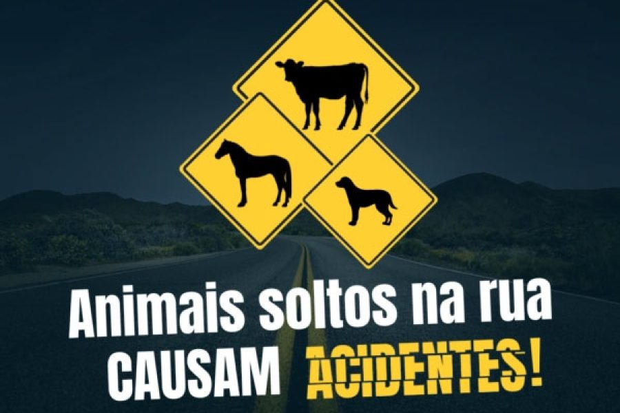 animais_27