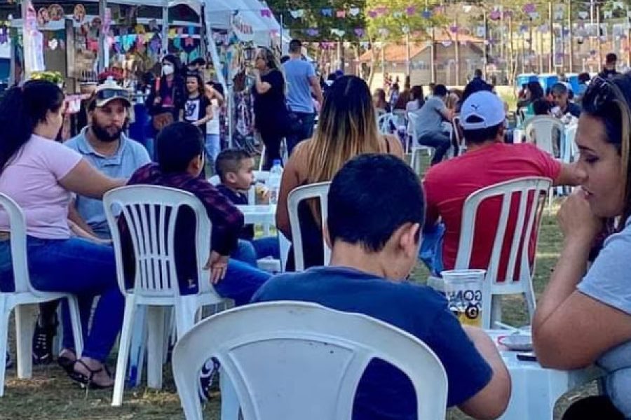 arraia_28