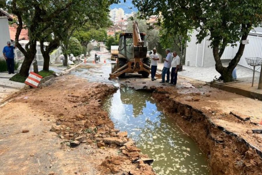 avenida_11