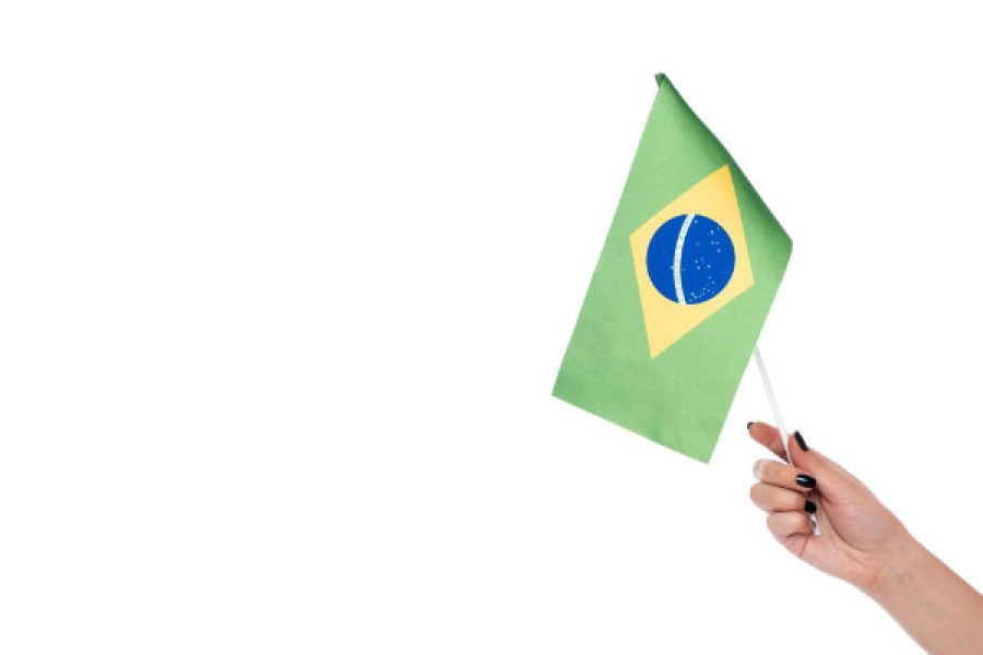 bandeira_editori_5