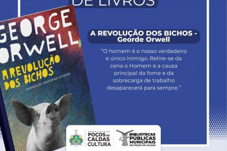 bichos_1