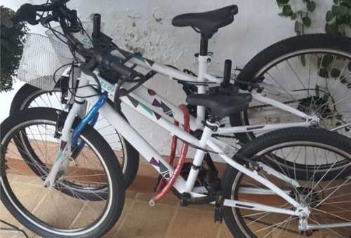 bike_14