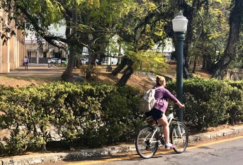 bike_24