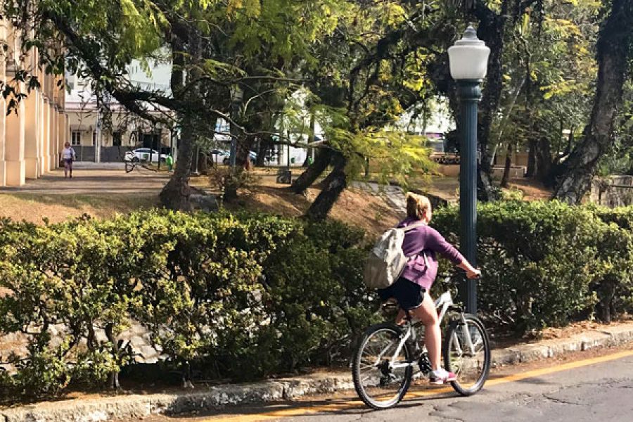 bike_24