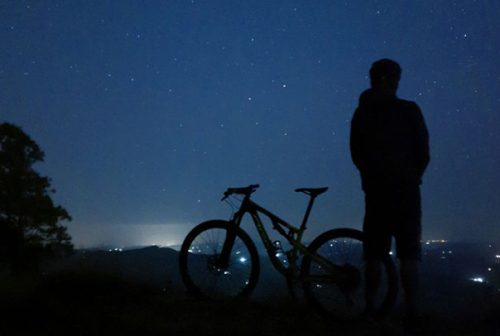 bike_29