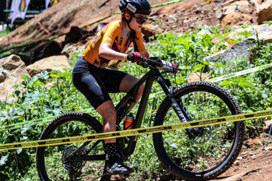bike_4