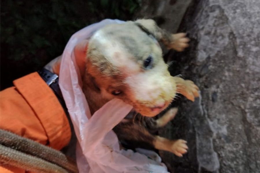 bombeiros_4