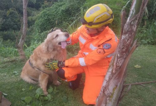 bombeiros_7