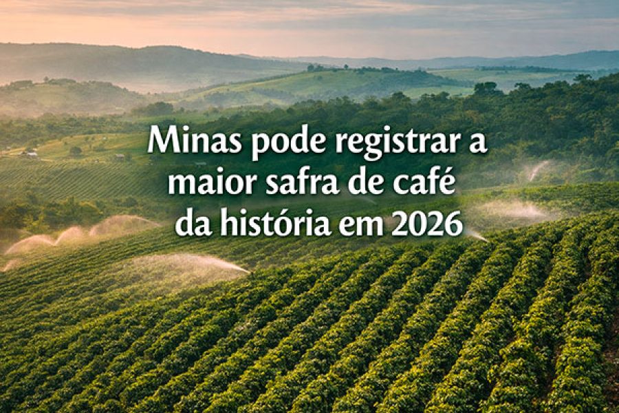 foto-cafe-safra-20-02-2026