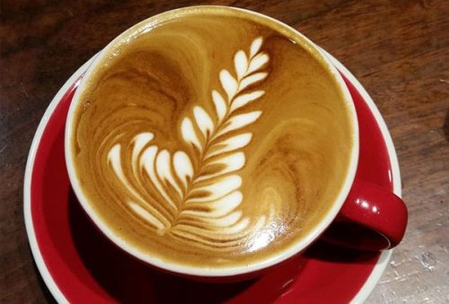 cafe_Edtorial