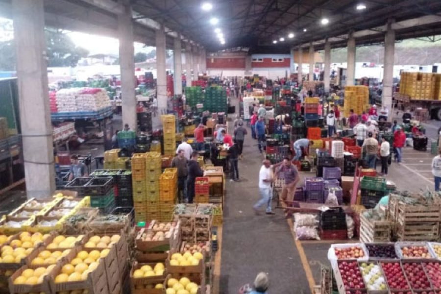 ceasa-relatorio-pocos-caldas-foto-assessoria-pmpc.jpg