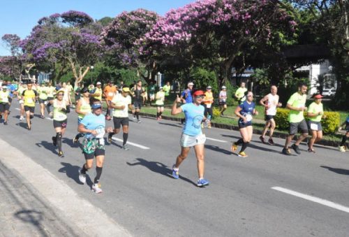 corrida_19