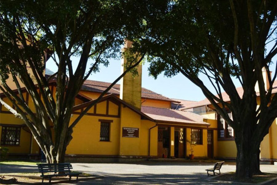 cultura_17
