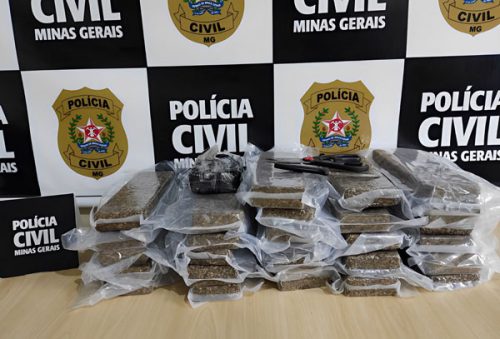 droga_31