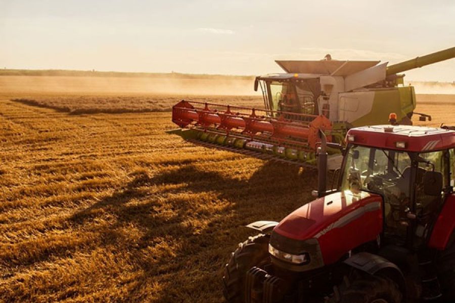 edi+agro_22