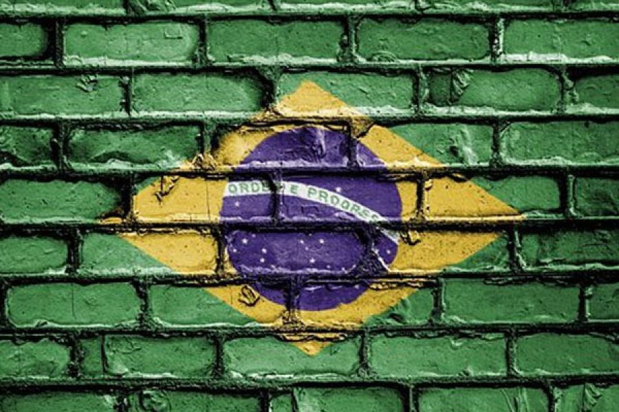 editorial_bandeira_7